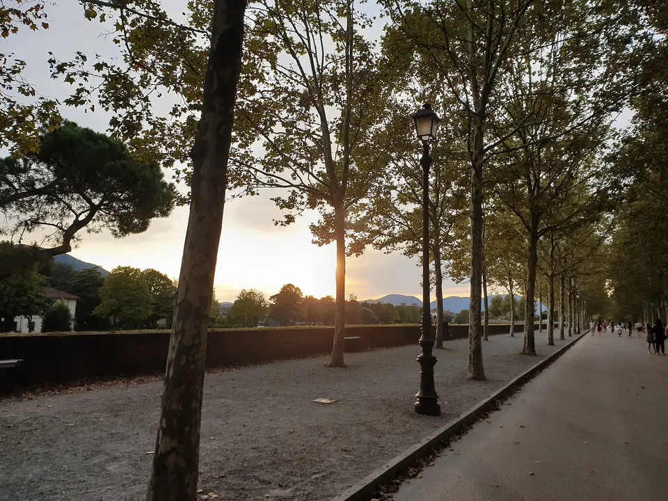 Lucca, annullata la Marcia in Verde 2026 per le norme anti-peste suina