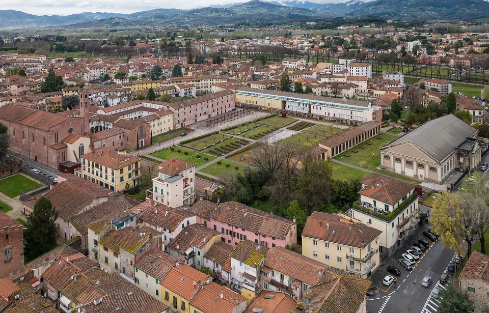 Lucca, incontro pubblico su nuovi alberi in centro e nei quartieri