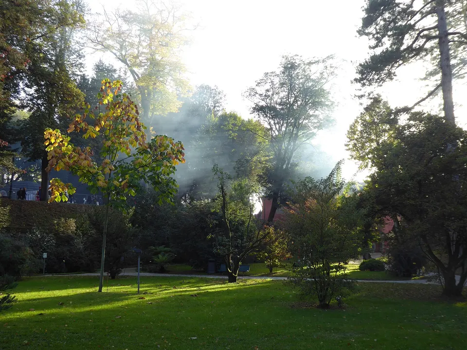 Orto botanico di Lucca, nuovi pannelli raccontano le collezioni viventi