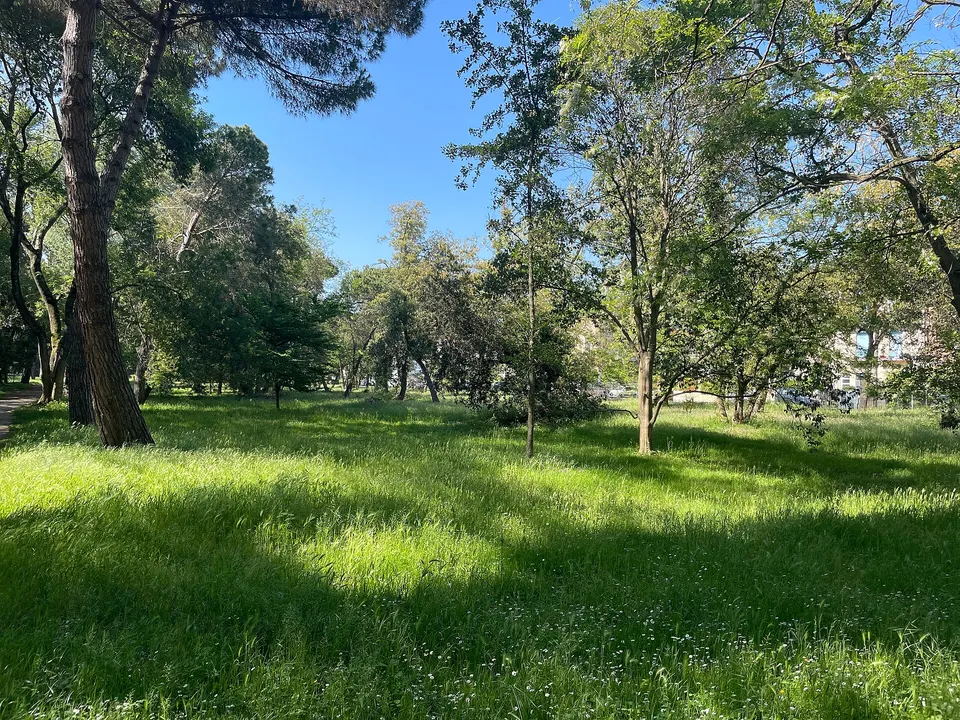 Pineta di Ponente, il cane antidroga trova oltre 65 grammi di stupefacenti