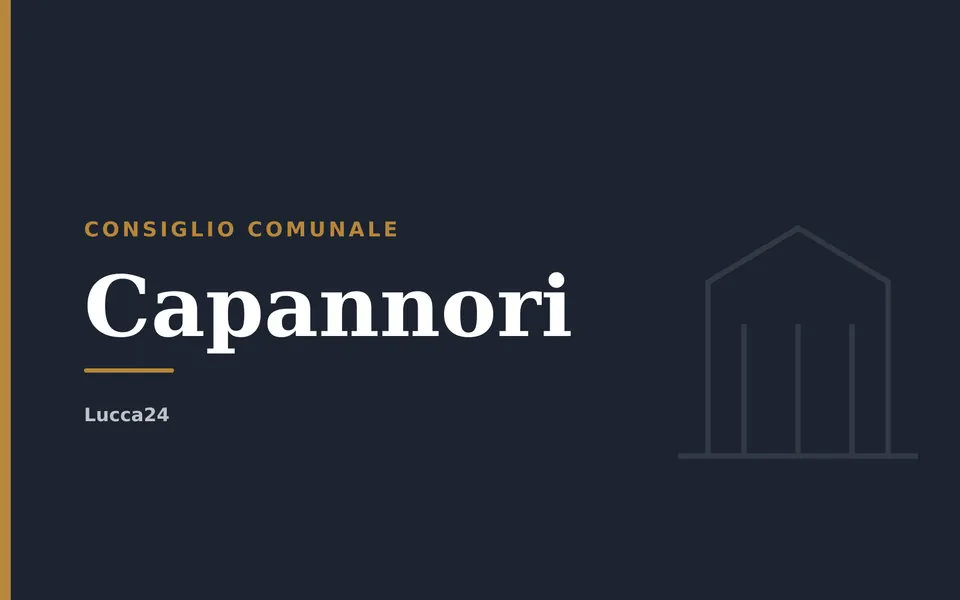 Capannori: Consiglio comunale
