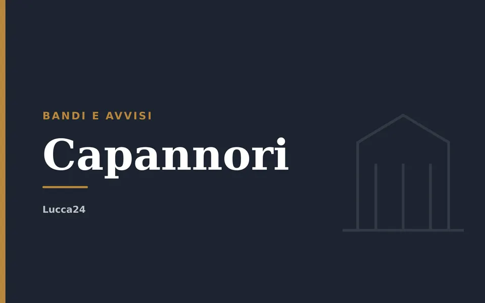 Capannori: Bandi e avvisi