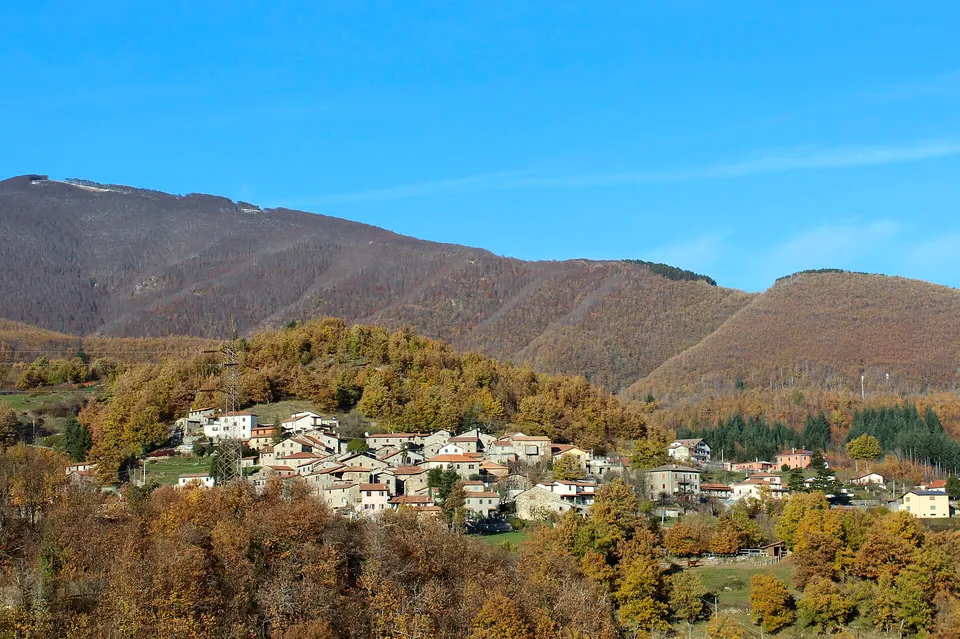 Funghi, buona annata in Garfagnana: la stagione non è ancora finita