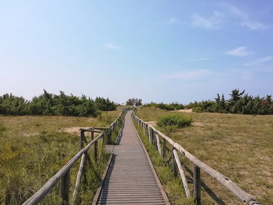 Spiagge libere a Viareggio: dove si trovano e come raggiungerle
