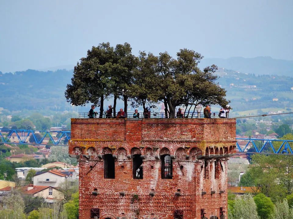 Torre Guinigi a Lucca: quanti gradini ha e cosa si vede dalla cima