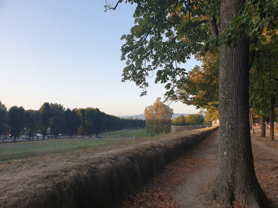 Del Ghingaro difende Let's Play Ball: "Basta con i novelli Savonarola"