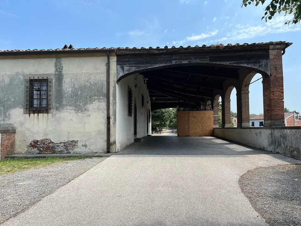 Puddu critica Let's Play Ball: "Lucca rischia di perdere la sua identità"