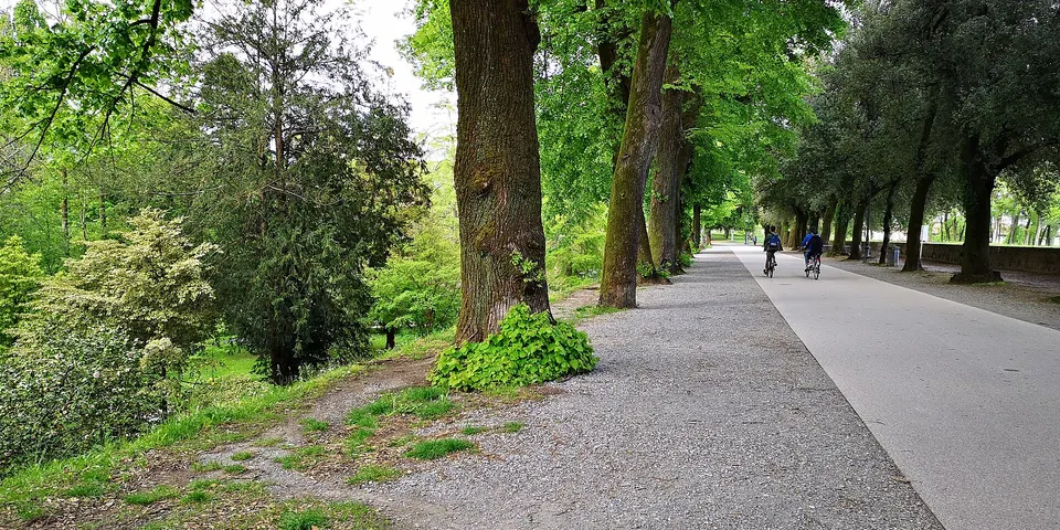 Lucca, passeggiata con i cani sulle Mura e premio 'Città degli animali'
