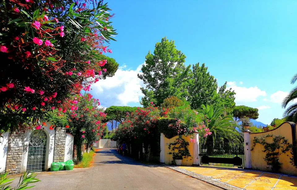 Villa venduta a Forte dei Marmi, due agenzie perdono la causa per la provvigione