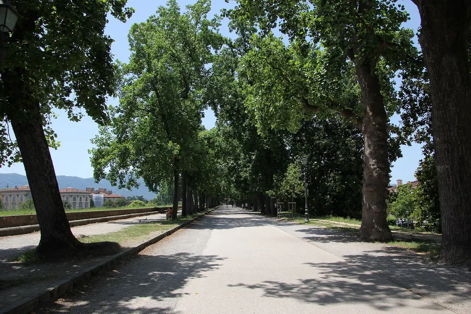 Lucca, mura della città