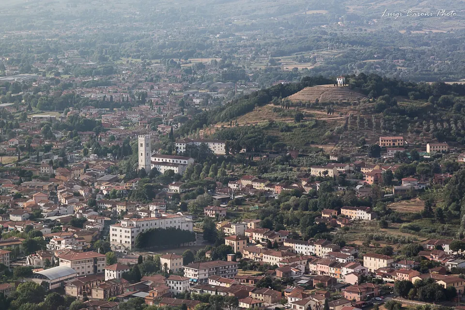 picture of Porcari