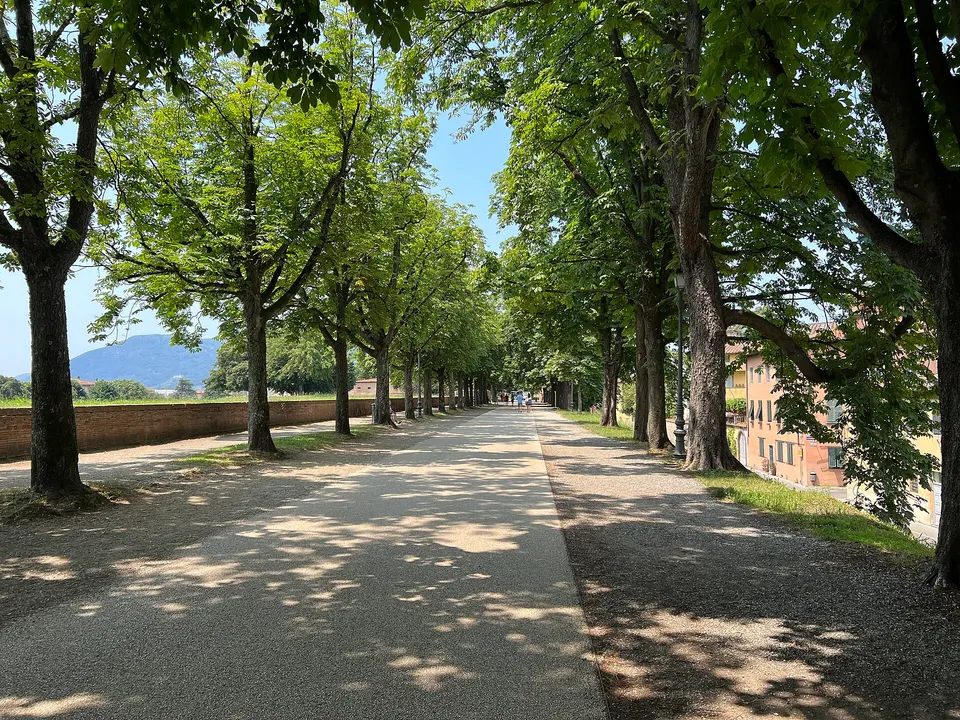 Altstadt in Lucca, Italien