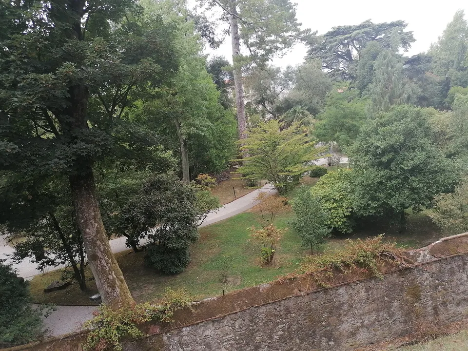 Lucca - Orto botanico comunale di Lucca, veduta dalle Mura