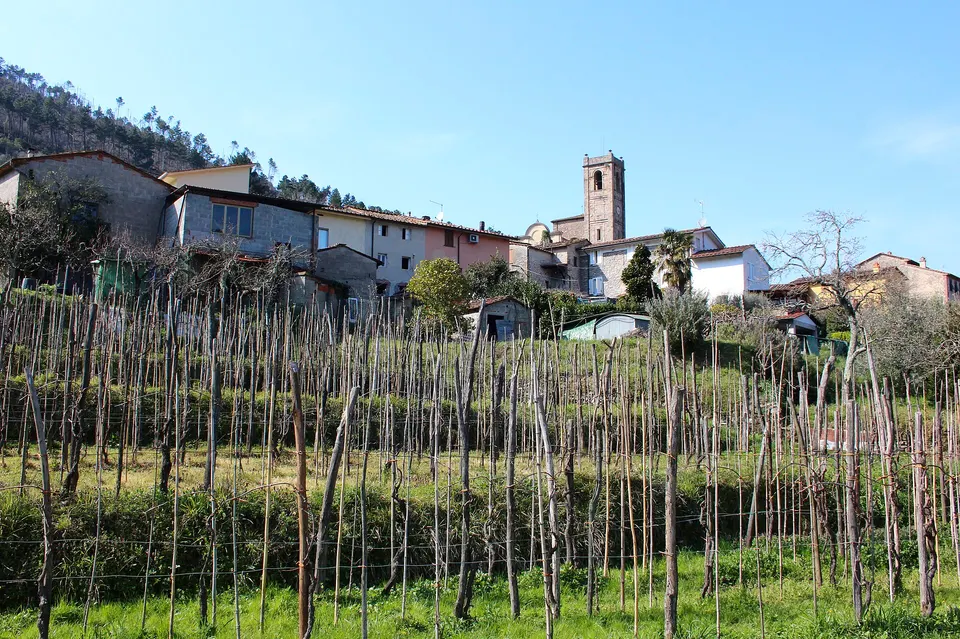 Sant'Andrea di Compito, hamlet of Capannori, Province of Lucca, Tuscany, Italy